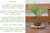 /album/kokedamas/descripcion-jpg/