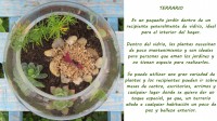 /album/fotogaleria-terrarios/te2-jpg1/