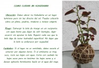/album/kokedamas/cuidar-jpg/