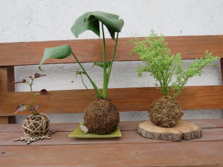 KOKEDAMAS  PEQUEÑA $8.000.- GRANDE $16.000.-  MEDIANA $12.000.- 